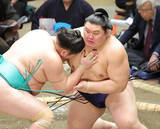 「大の里　左肩負傷の不安吹き飛ばす圧勝　紺色の締め込み初披露「自分が大きく見える感じがする」　」の画像1