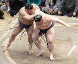 「横綱・大の里が１２日目での勝ち越し…元大関・高安に苦戦も寄り切り」の画像1