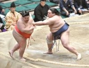 東十両３枚目・藤凌駕が８勝目　勝ち越しに「とりあえず一安心だが、少しでも幕内に近づけるように」