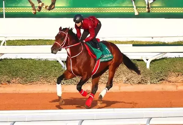 緊迫する中東のドバイでフォーエバーヤングはコースを周回　陣営「人馬とも穏やかに過ごしています」