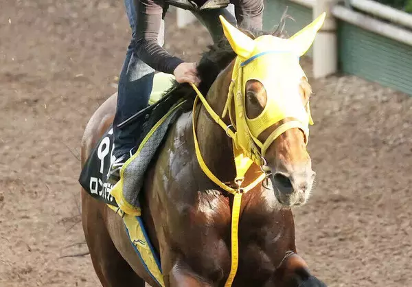 ２２年の小倉２歳Ｓ覇者ロンドンプランが急死　米子城Ｓレース中に急性心不全を発症