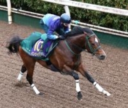 【高松宮記念】サウジ遠征帰厩後３度追い切り“１０日仕上げ”のパンジャタワーは「力を出せる状態」