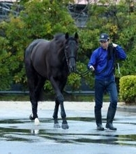 【大阪杯】クロワデュノールは大外８枠１５番に決定　武豊騎手のメイショウタバルは４枠６番