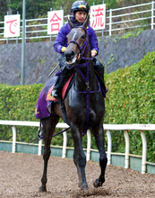 【桜花賞】好枠を引いたサンアントワーヌが坂路で軽快　陣営「１３秒２も引っ張ったままですから」