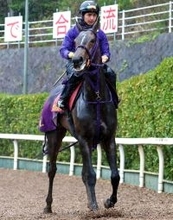 【桜花賞】好枠を引いたサンアントワーヌが坂路で軽快　陣営「１３秒２も引っ張ったままですから」