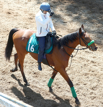 【ＰＯＧ】藤田晋オーナーの２・９億円馬ジャンゴッドは７月５日の小倉でデビュー　皐月賞馬ジャスティンミラノの弟