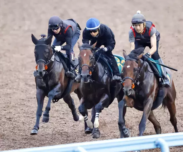 【京成杯ＡＨ】日本ダービー以来のフォルテアンジェロは気配上々　上原佑調教師「スタートが決まればマイルは対応できる」