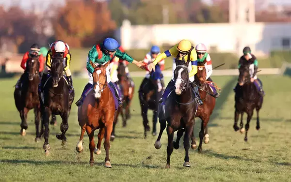 【ジャパンＣ】ＪＲＡがレーティング発表　カランダガンは１３０ポンド　マスカレードボールが１２９ポンドで続く