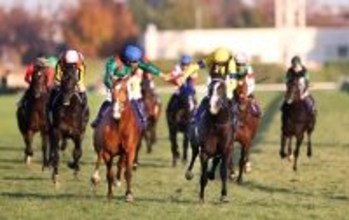 【ジャパンＣ】ＪＲＡがレーティング発表　カランダガンは１３０ポンド　マスカレードボールが１２９ポンドで続く