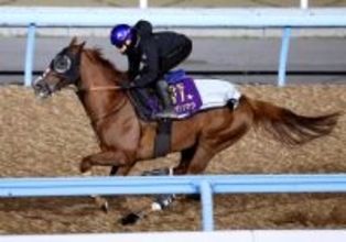 【香港ヴァーズ】アーバンシックは平坦狙って香港へ　武井調教師「香港の方が総合的にみてチャンス」