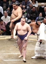 新大関・安青錦が５勝目　高安との１敗対決を制す