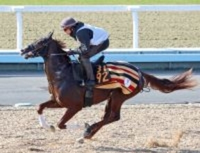 【京成杯】グリーンエナジーが２連勝で重賞初制覇　戸崎圭太騎手は１７年連続重賞Ｖ「クラシックで活躍して欲しい」