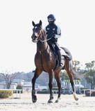 「【フェブラリーＳ】「調教師も喜んでいました」ラムジェットは充実期　陣営「具合は本当にいいです。今が一番」」の画像1