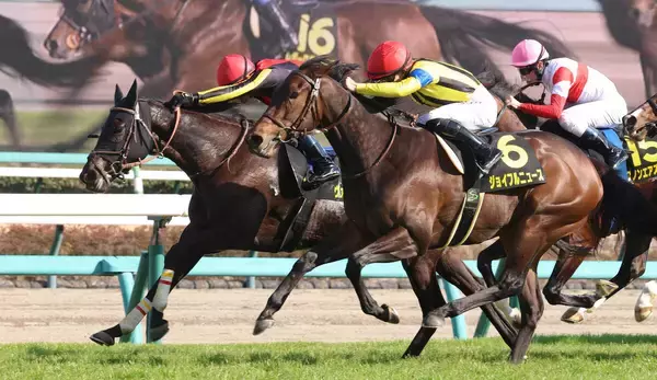 【中山１０Ｒ・東風Ｓ】昨年のフローラＳ２着以来のヴァルキリーバースが差し切りＶ　ルメール騎手「きょうは能力で勝った」