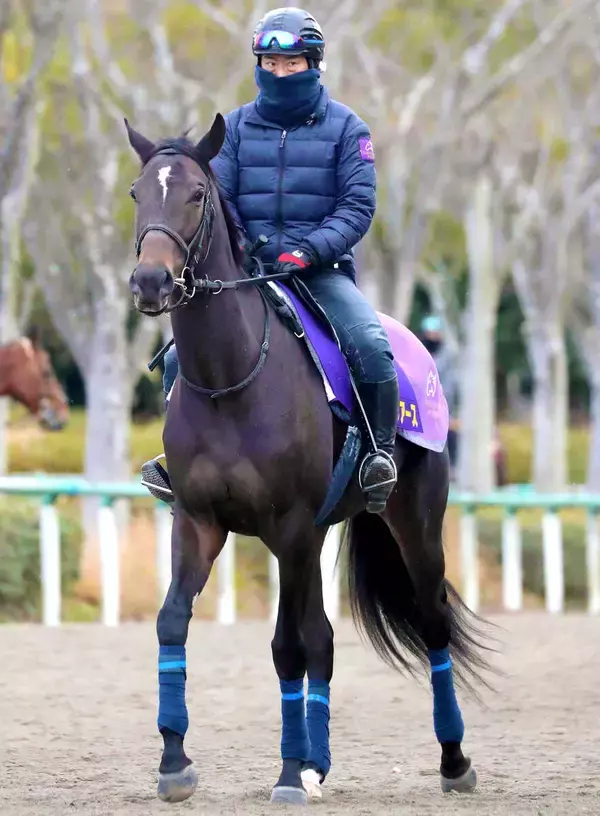 ２２年の２冠牝馬スターズオンアースに初子誕生　エピファネイア産駒の牡馬