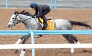 【阪神牝馬Ｓ】カピリナは単走で軽々と登坂　田島調教師「うまく我慢ができれば」