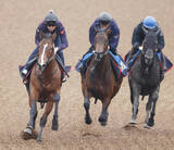 「【ＮＨＫマイルＣ・１週前】巻き返しに燃えるサンダーストラック　手応え十分で自己ベスト更新　陣営「器は大きい」」の画像1