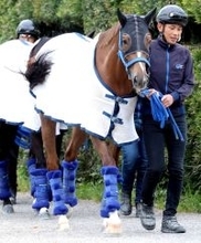 【天皇賞・春】ヴェルミセルは過去１１勝の最内枠　吉村調教師「ロスなく運べますからね」