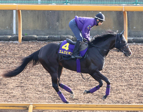 ５億９０００万円馬エムズビギンが下克上Ｖ狙う　ダービー現役最多３勝の友道康夫調教師「力を出し切ってほしい」