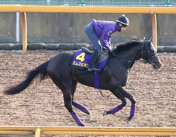 ５億９０００万円馬エムズビギンが下克上Ｖ狙う　ダービー現役最多３勝の友道康夫調教師「力を出し切ってほしい」