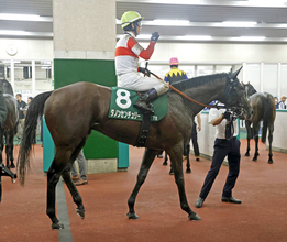 【関屋記念】道悪に泣いたダノンセンチュリーは１１着　戸崎圭太騎手も無念「馬場の影響が…」