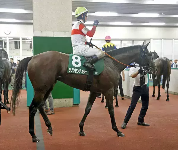 【関屋記念】道悪に泣いたダノンセンチュリーは１１着　戸崎圭太騎手も無念「馬場の影響が…」