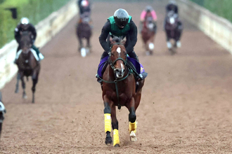 【スプリンターズＳ】昨年とは別馬！パンジャタワーが短距離王へ　陣営「普段の雰囲気が、これまでで一番いい」