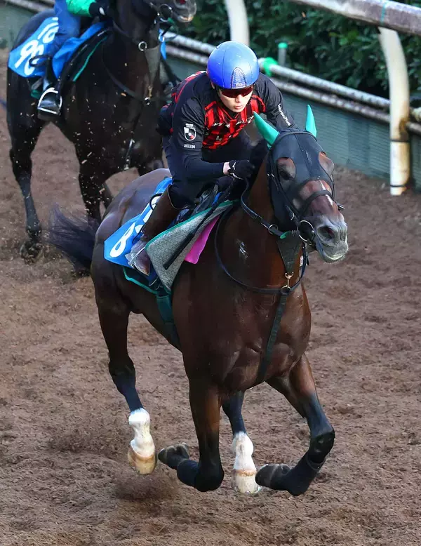 【京都大賞典】サヴォーナが開幕週の馬場味方に重賞初Ｖへ　陣営「Ｇ２なら頑張ってほしい」