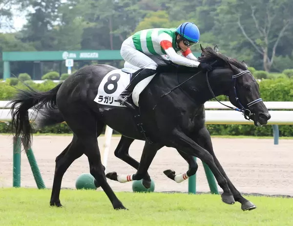 【１７日の注目・東京９Ｒ】クラシックへの登竜門として注目　ドウデュース、マスカレードボール…に続くのは前走で激変したキズナ産駒だ