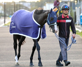 【天皇賞・秋】マスカレードボール連覇へ２２年から４連勝中の７番枠