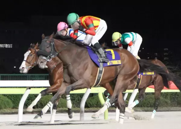 キングストンボーイが勝島王冠連覇　吉原寛人は地方重賞２００勝目