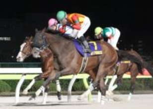 キングストンボーイが勝島王冠連覇　吉原寛人は地方重賞２００勝目