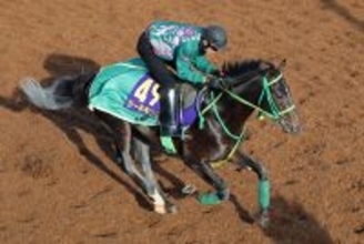 【ホープフルＳ】コントレイルとの父子制覇を狙うジーネキングは仕上がり順調　陣営「ハナにはこだわらない」