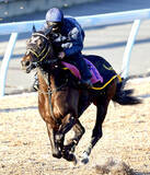 「【フェアリーＳ】荻野極騎手を背にピエドゥラパンが滑らかなフットワーク　「良かったですよ。馬の雰囲気重視で」」の画像1