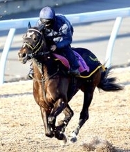 【フェアリーＳ】荻野極騎手を背にピエドゥラパンが滑らかなフットワーク　「良かったですよ。馬の雰囲気重視で」