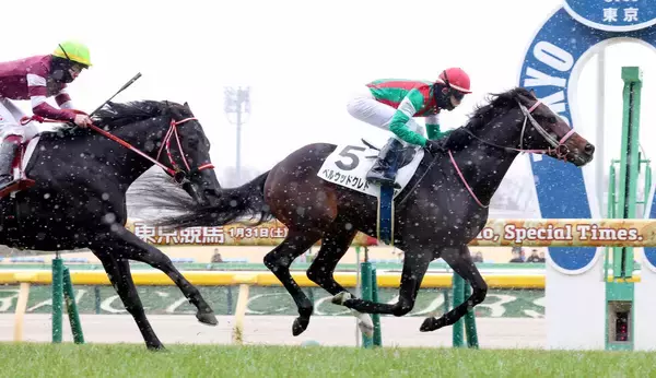 「ゴリゴリに降ってる」「視界不良で危ない」雪が強まる東京競馬場にＳＮＳ反応「明日中止かもなぁ」