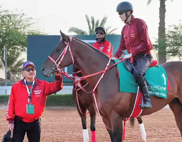 【サウジＣ】次のドバイと「両方取りにいきます」　フォーエバーヤングは余裕漂う最終調整に矢作調教師も納得