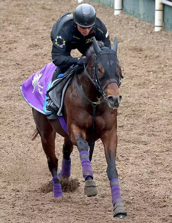 【かきつばた記念】川田将雅騎手「もともと持っているポテンシャルで勝ち切ってくれた」ダノンフィーゴが重賞初Ｖ　