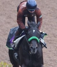 【アル・クオーツ・スプリント】ルガルが惜しい２着！　日本馬の初制覇はまたもお預け　昨年はウインカーネリアンが２着