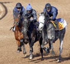 【皐月賞・１週前】「思った通りいい馬」ゾロアストロは初コンビの岩田望来騎手を背に最先着　「あとは舞台が合うかどうか」