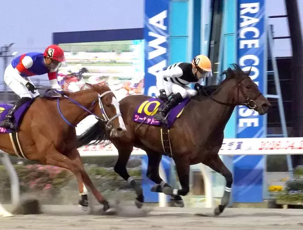 ツーシャドーが報知杯しらさぎ賞２勝目　２４年の優勝馬が２年ぶりのタイトル獲得　繁殖入りが一転、現役続行へ