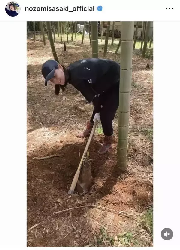「掘りたてで、本当に絶品」佐々木希、タケノコ掘りで笑顔！「元気そうなお顔にこちらも元気をいただきました」の声
