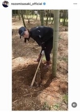 「掘りたてで、本当に絶品」佐々木希、タケノコ掘りで笑顔！「元気そうなお顔にこちらも元気をいただきました」の声