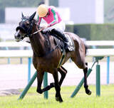 「【京都９Ｒ・矢車賞】母ヌーヴォレコルトの良血トリニティが快勝　岩田望来騎手「しぶとく粘ってくれた」」の画像1