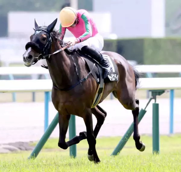 【京都９Ｒ・矢車賞】母ヌーヴォレコルトの良血トリニティが快勝　岩田望来騎手「しぶとく粘ってくれた」