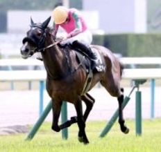 【京都９Ｒ・矢車賞】母ヌーヴォレコルトの良血トリニティが快勝　岩田望来騎手「しぶとく粘ってくれた」