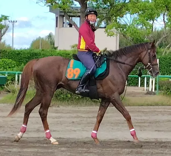 【注目新馬・坂本が見た】エフフォーリア産駒“速攻系”な一面も　２４００万円で落札ベルウッドディープも楽しみ