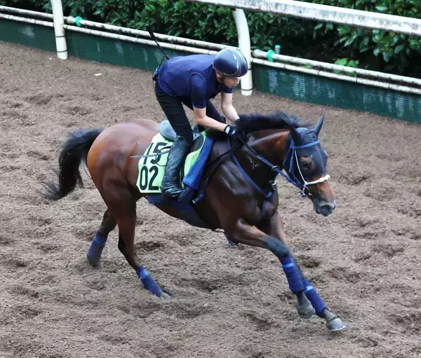 【野路菊Ｓ・ヤマタケの特注馬】阪神２歳戦最速の上がりだったジーティーサクラの新馬Ｖは相手陣営も脱帽　衝撃の第２幕に期待