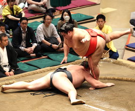 十両・嘉陽、２年ぶりの１０勝目「立ち合いで踏み込んで、圧力を伝えられた」　好調の要因は中村親方の連日の助言