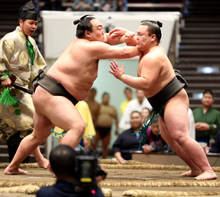 天（あまね）が序二段優勝「天にも昇る気持ちというわけでもないが勝てて良かった」